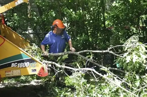 tree services Charenton